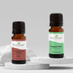 Top Plant Therapy Essential Oils For Ultimate Aromatherapy Bliss