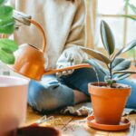 The Science of Happiness: Cultivating a Lifestyle of Contentment